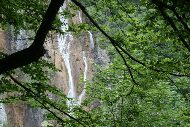gal/cro 08/small-IMG_5671.JPG